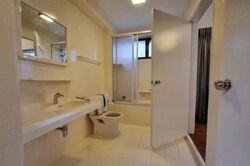 The Cairnhill (D9), Condominium #558345651